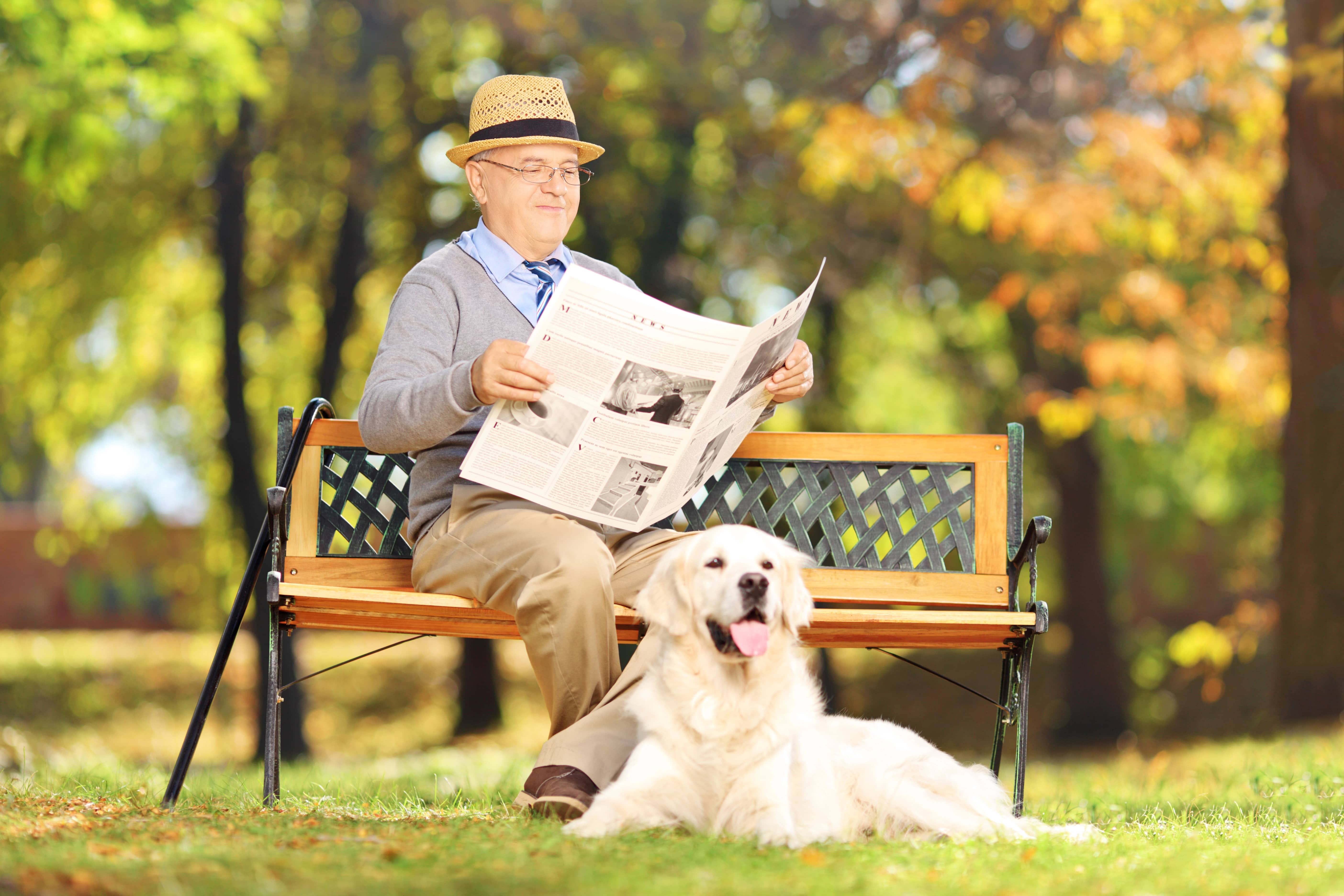 Senior Hund sitzt mit älterem Herr im Park