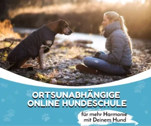 Ortsunabhängige Online-Hundeschule für mehr Harmonie mit deinem Hund